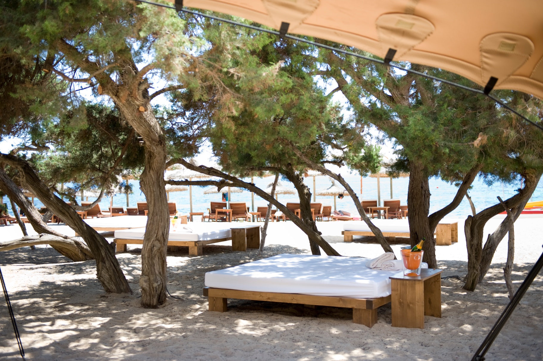 Daybeds de madera entre sabinas en la playa